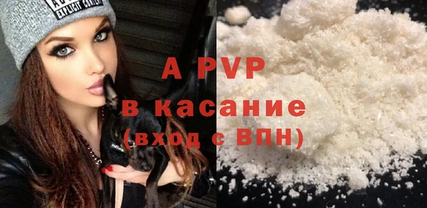 прущие грибы Куйбышев