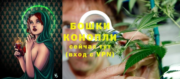 мдпв Кулебаки