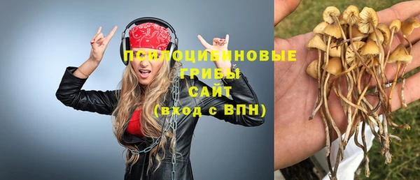 мдпв Кулебаки